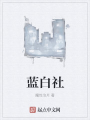 藍白社小说封面