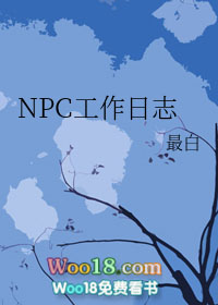 NPC工作日志小说封面